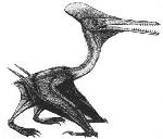 Rekonstruktionszeichnung Pterodactylus kochi (diopecephalus)