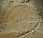 Cannostomites