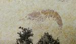 Libanocaris